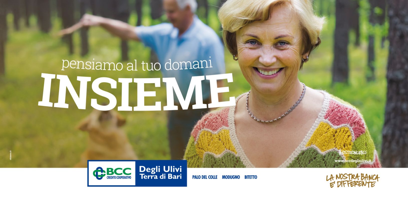 BCC degli Ulivi